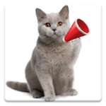 Logo of Cat Sounds android Application 