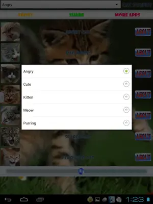 Cat Sounds android App screenshot 0