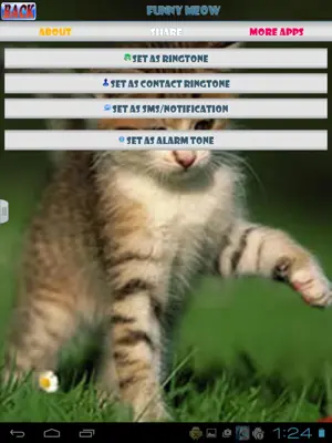 Cat Sounds android App screenshot 1